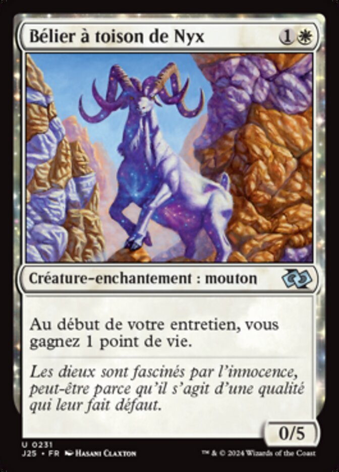 image Bélier à toison de Nyx