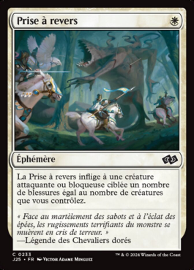 image Prise à revers