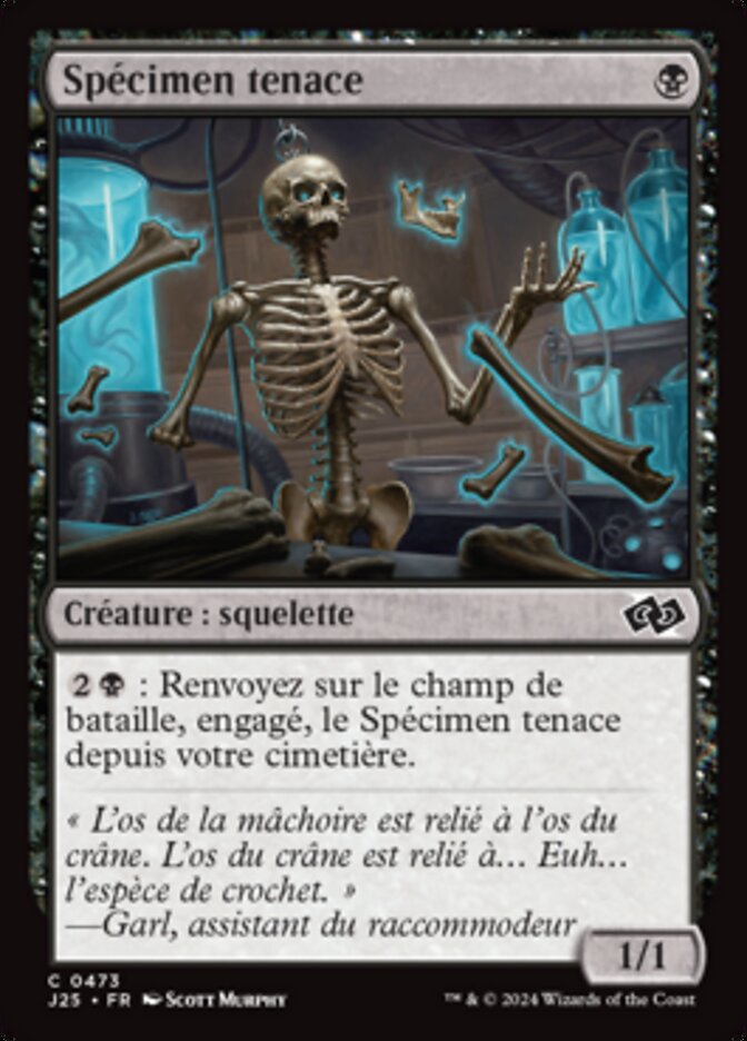 image Spécimen tenace