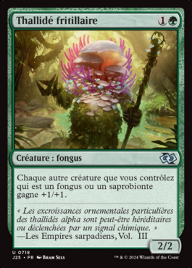 image Thallidé fritillaire