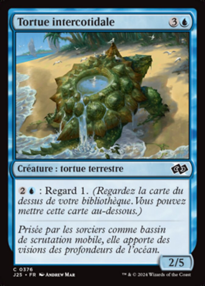 image Tortue intercotidale