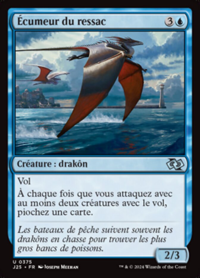 image Écumeur du ressac