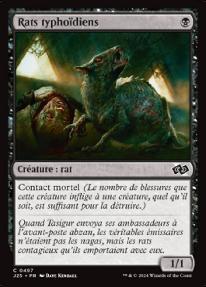 image Rats typhoïdiens