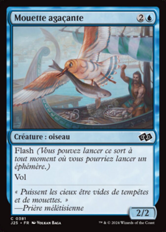 image Mouette agaçante