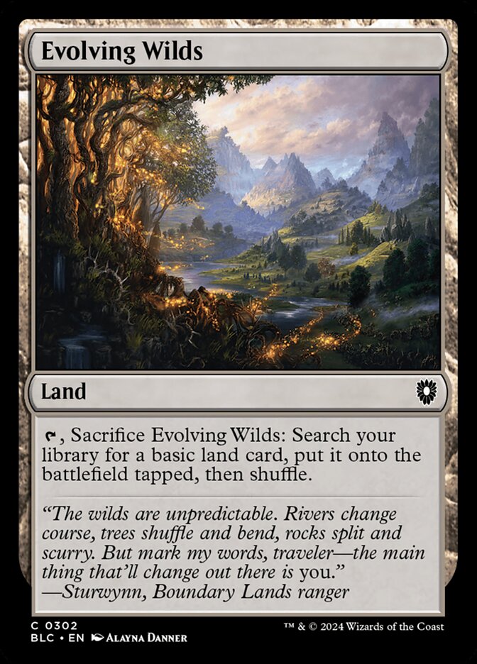 image Evolving Wilds