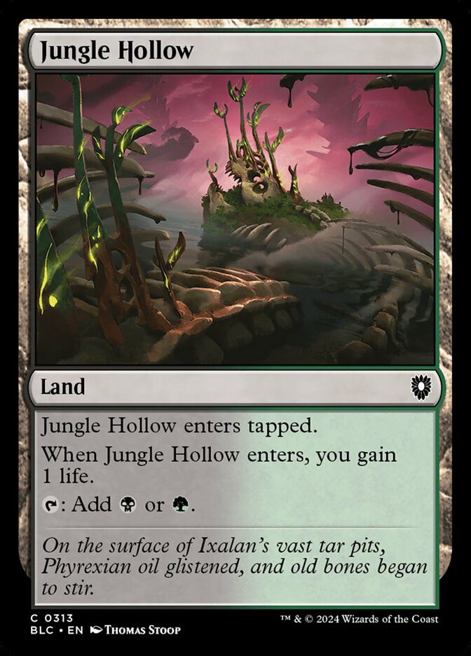 image Jungle Hollow