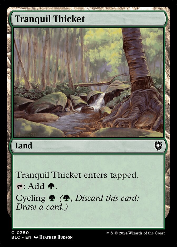 image Tranquil Thicket