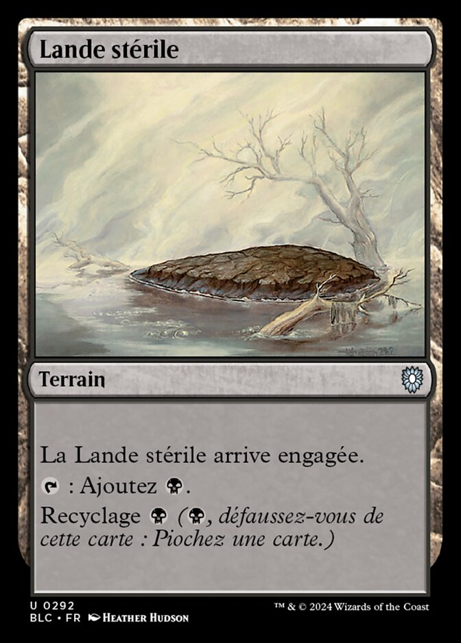 image Lande stérile