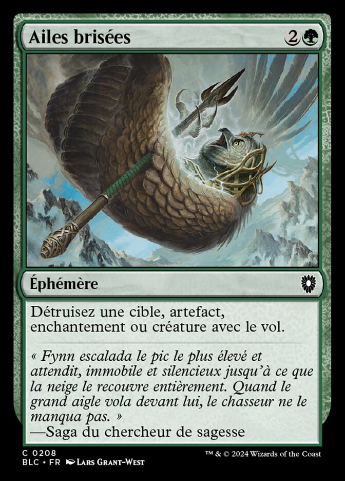 image Ailes brisées