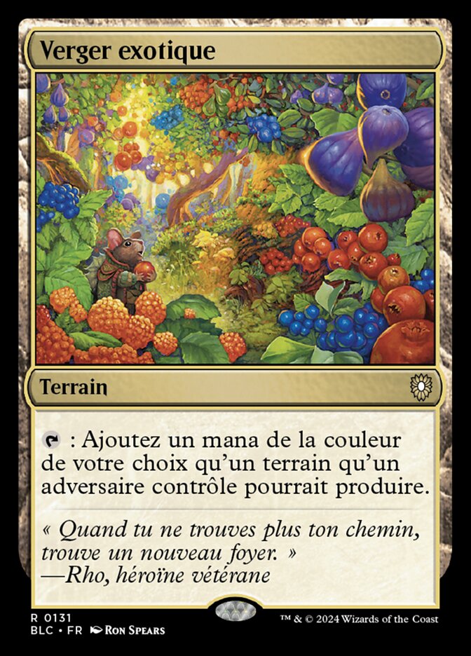 image Verger exotique