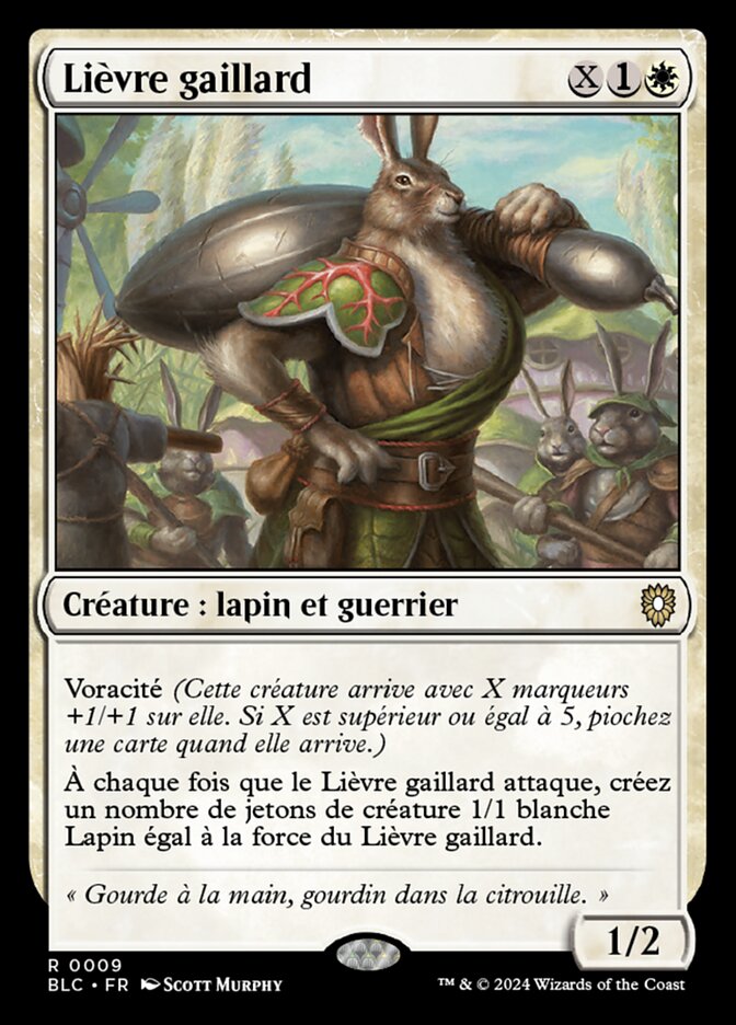 image Lièvre gaillard