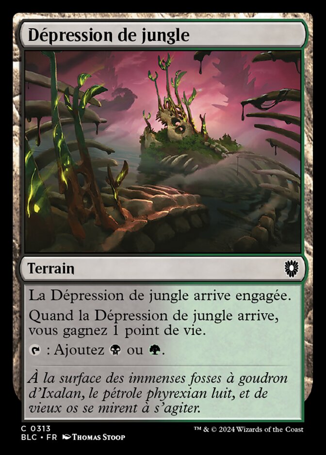 image Dépression de jungle