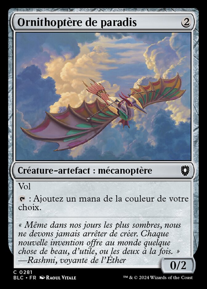 image Ornithoptère de paradis