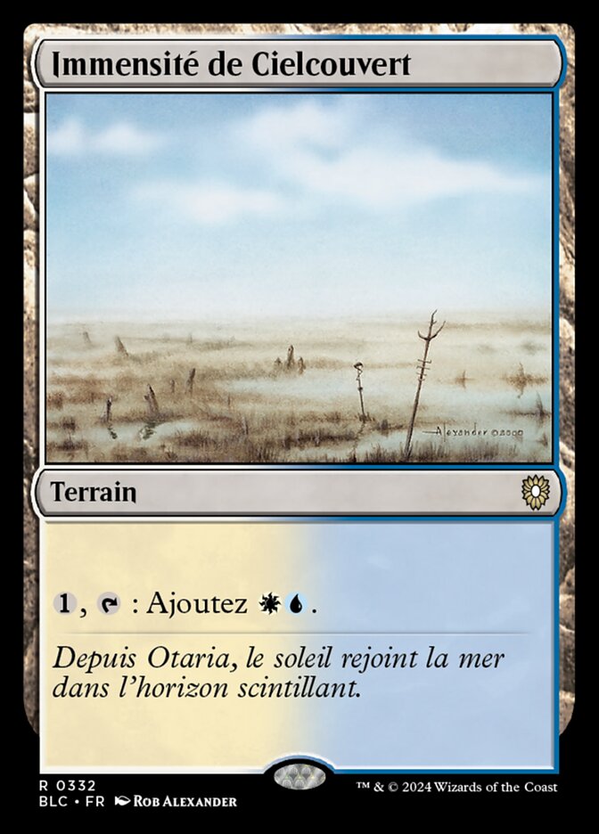 image Immensité de Cielcouvert