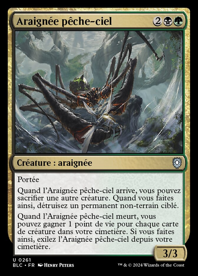 image Araignée pêche-ciel