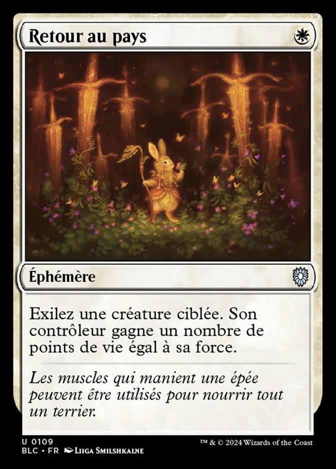 image Retour au pays