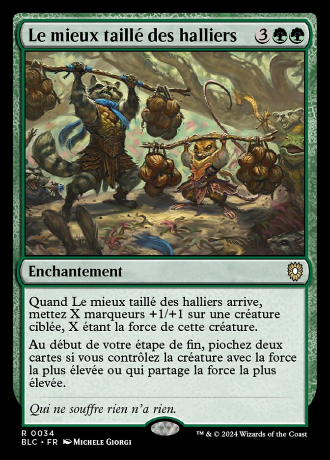 image Le mieux taillé des halliers