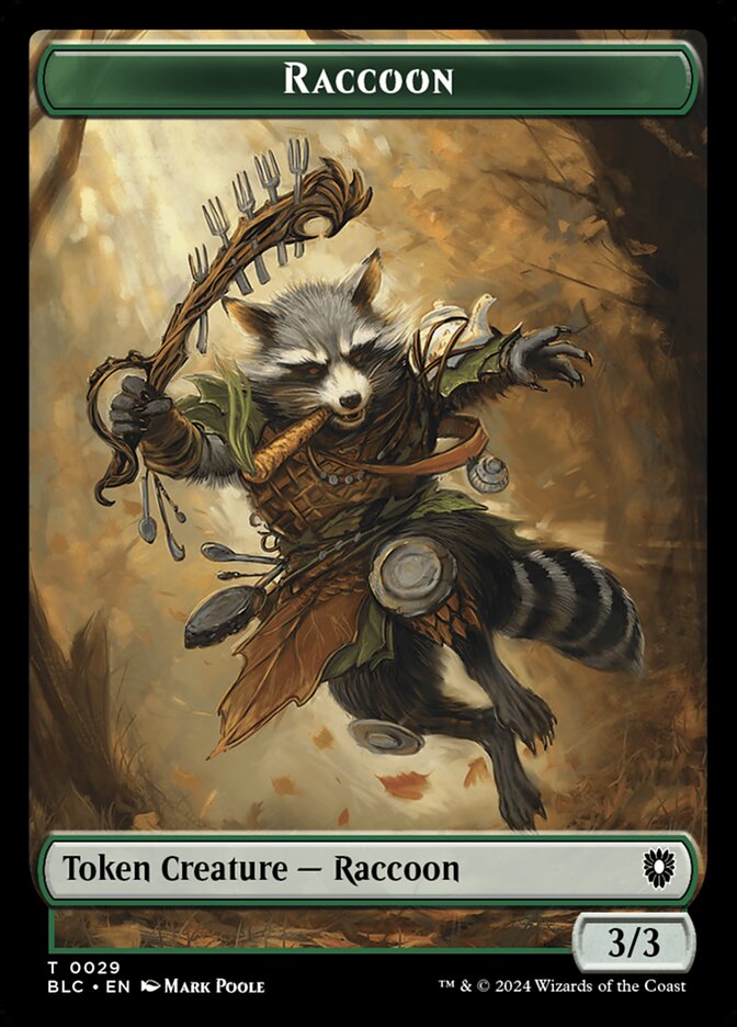 image Raccoon