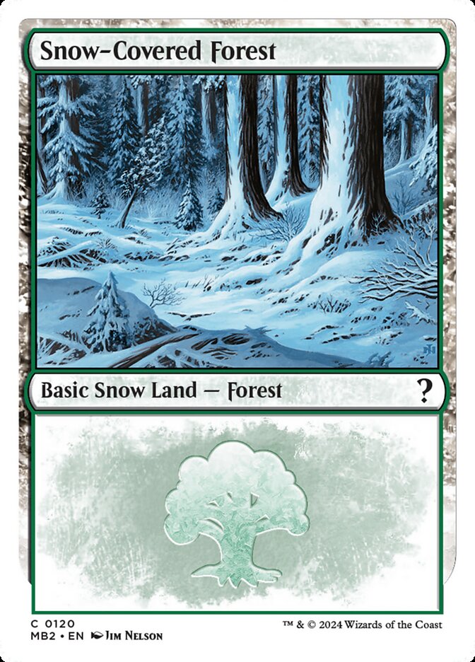 image Snow-Covered Forest