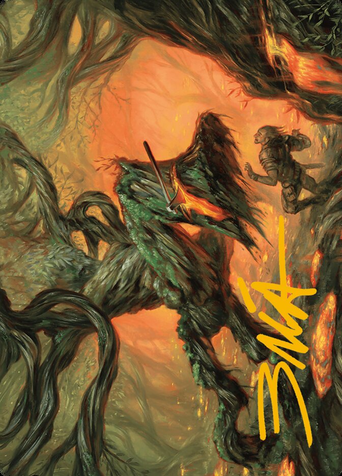 image Stump Stomp // Stump Stomp