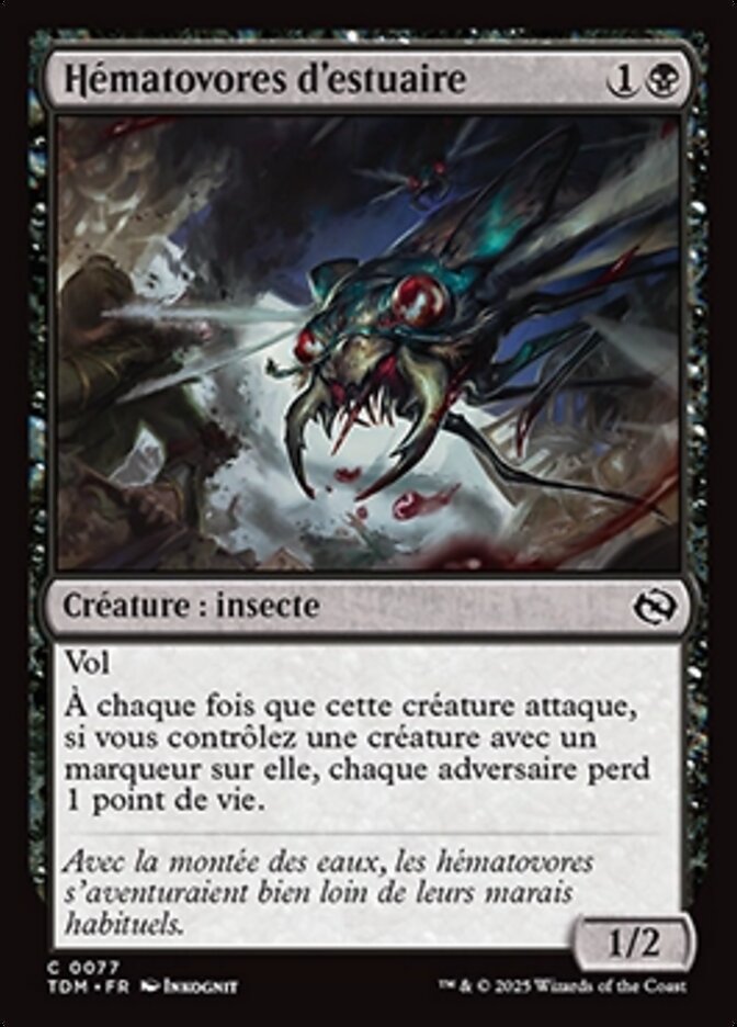 image Hématovores d'estuaire