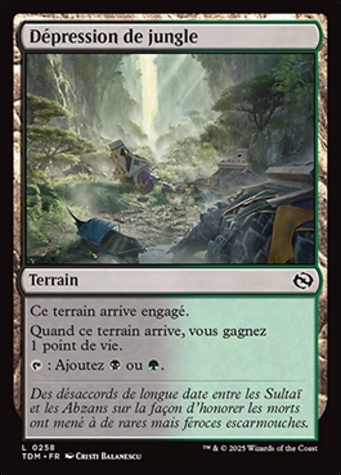 image Dépression de jungle