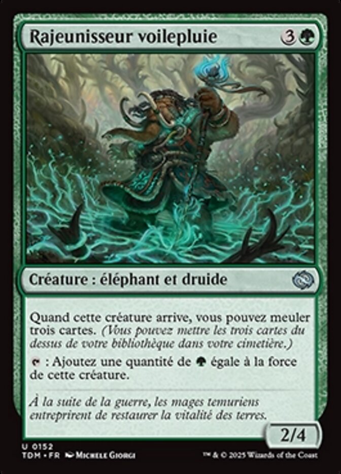 image Rajeunisseur voilepluie