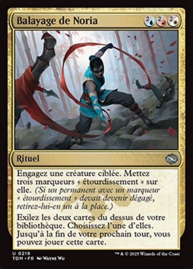 image Balayage de Noria