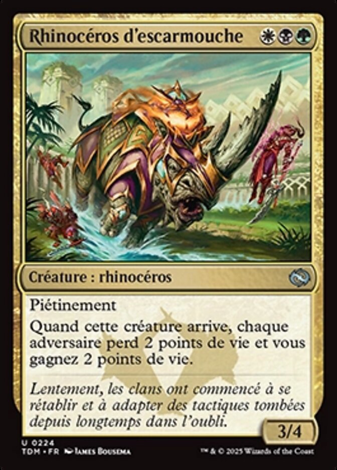 image Rhinocéros d'escarmouche