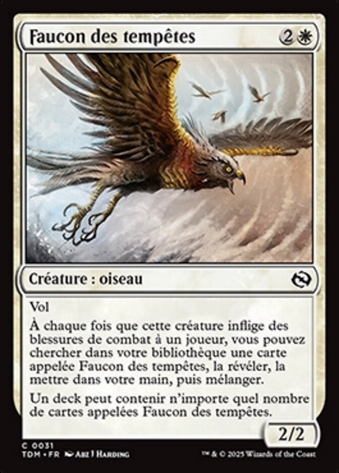 image Faucon des tempêtes