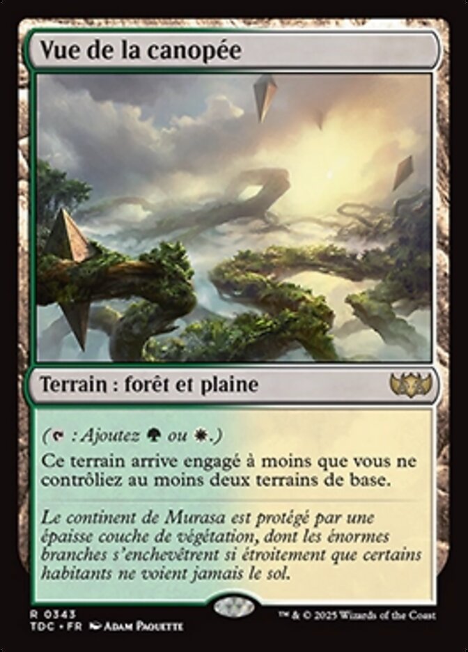 image Vue de la canopée