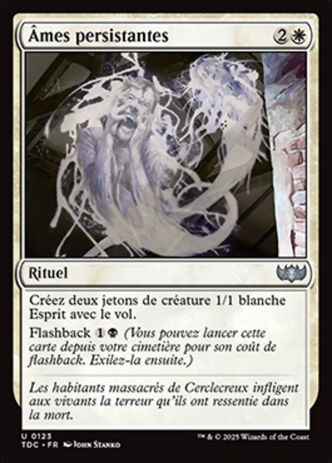 image Âmes persistantes