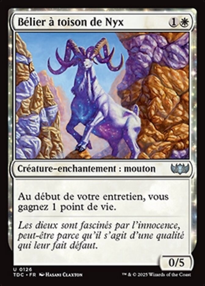 image Bélier à toison de Nyx