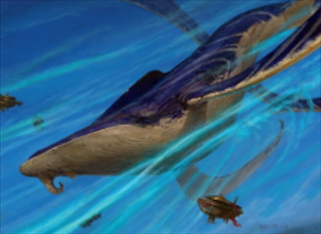 Baleine éthertidale