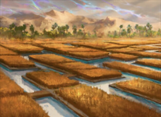 灌漑農地