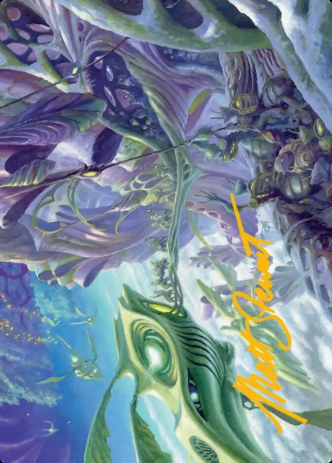 image Loading Zone // Loading Zone