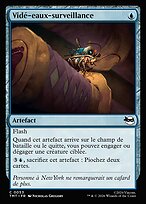 Vidé-eaux-surveillance