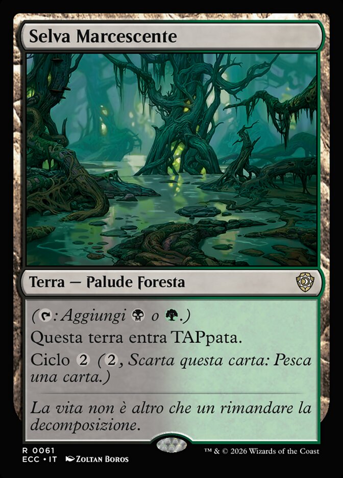 Selva Marcescente