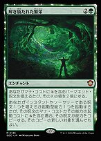 解き放たれた繁栄